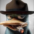 Perry the Paltapus